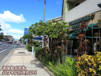 右手にスターバックスコーヒー（モーニンググラス コーヒー カカアコ店へ）