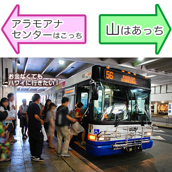 アラモアナセンター山側バス停 426